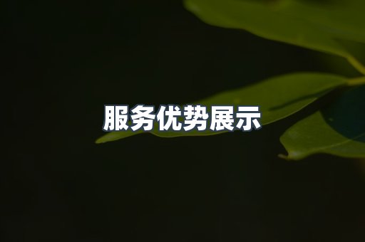 服务优势展示
